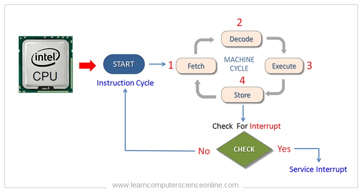 How the fetch program executed internally in CPU 