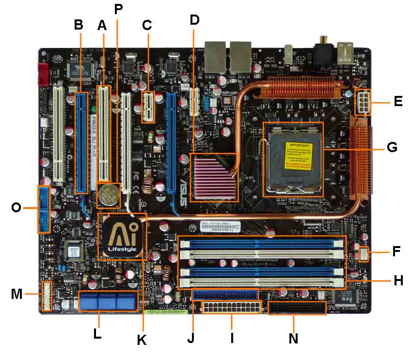 Motherboard Layout